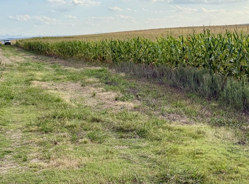 0 Bedroom Property for Sale in Harrismith Free State